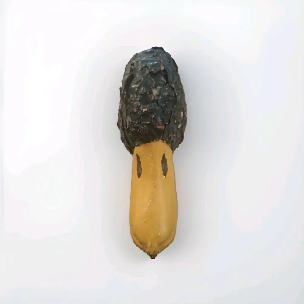 Large Vintage Pine Cone Decorative Duck Decoy Decor Rustic 16 In. Long